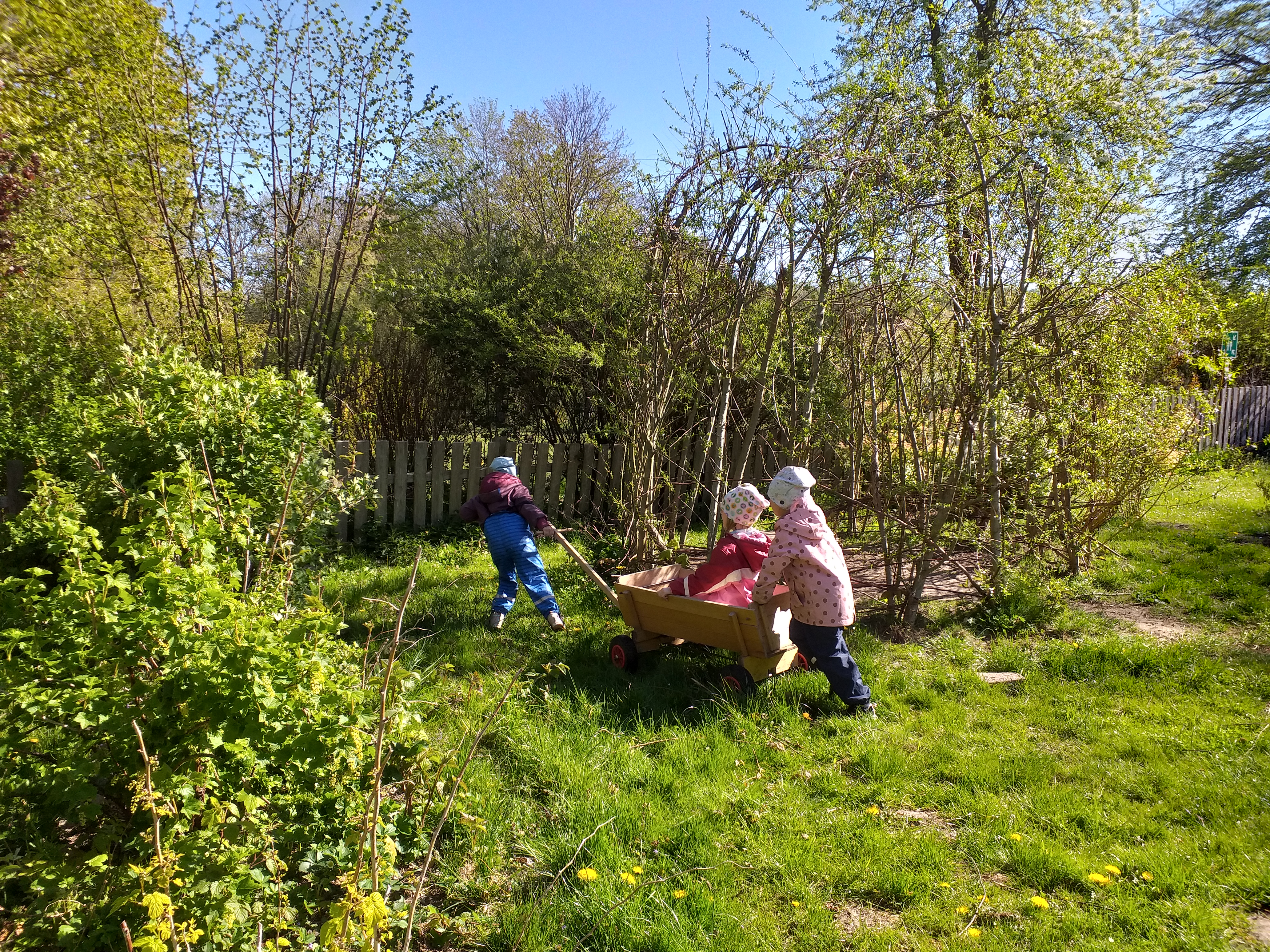 Gruppe von Kindern in Natur